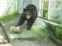 Mini-ZOO Leszno