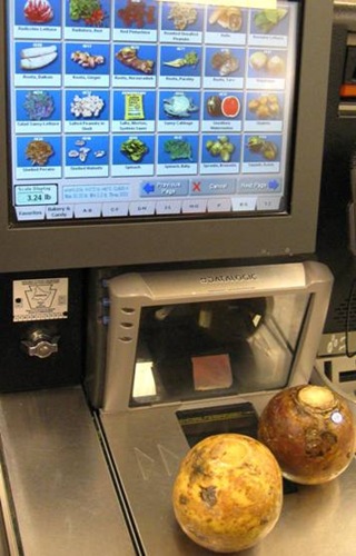 [self_checkout_choices[3].jpg]