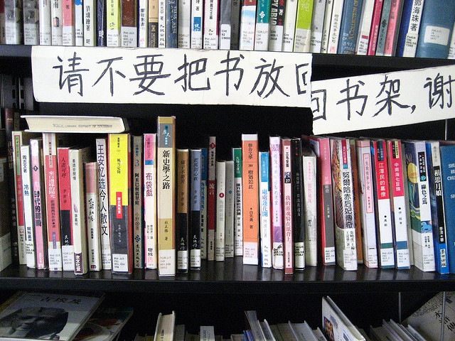 [foreignlanguagebooks3.jpg]