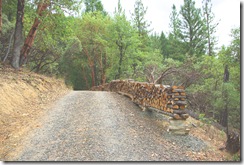 woodpile2