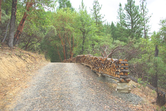 [woodpile2[2].jpg]