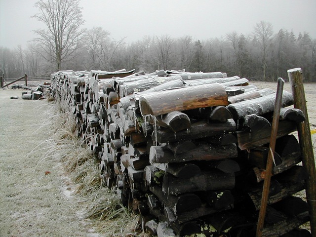[woodpile1[5].jpg]