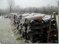woodpile1