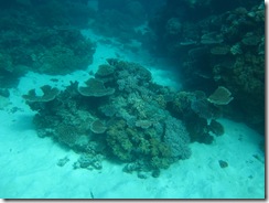 Great Barrier Reef 023