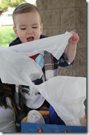 IMG_0515 IMG_0515