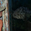 Talking to fish is normal....promise....