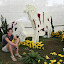 Horses made out of flowers!