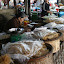 Each noodle is carefully hand rollen and takes four hands three hours to complete.