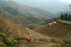 The beginning of our circuit around the terraces.