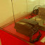 Pablo Escobar's mobile phone!