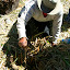 He then plunged a rock on a string through the island floor to demonstrate the 17m depth underneath.
