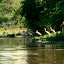 Lynette noted how the bird on the right looks exceptionally like a man in a costume just wandered into view...