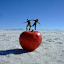 Our first attempt at the obligatory Salt Flat's shot! Not the most convincing...