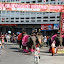 Finally! The start of the elephant procession...