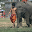 The baby elephant makes an appearance again...