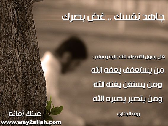 السهم المسموم 3aynak-amana3