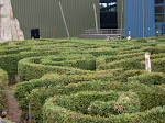 SDC10038.JPG