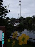 IMG_0011.JPG