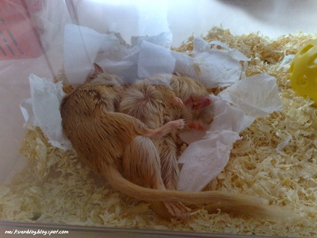 [160220104297[4].jpg]