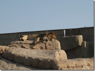 IMG_0473 IMG_0473