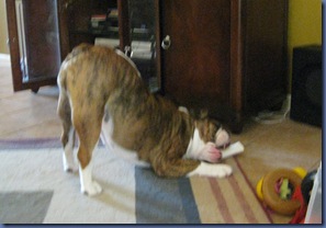 IMG_1449 IMG_1449