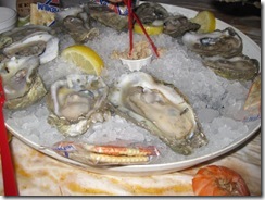 IMG_0255 IMG_0255