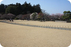 IMG_3022 IMG_3022