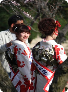 IMG_3129 IMG_3129