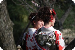 IMG_3121 IMG_3121