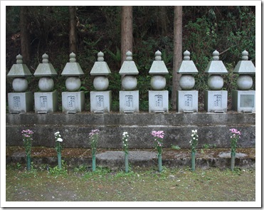 IMG_3796 IMG_3796