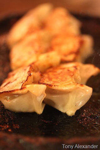 [IMG_4684[7].jpg]