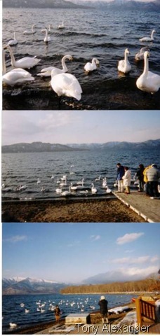 [lake kusha[6].jpg]