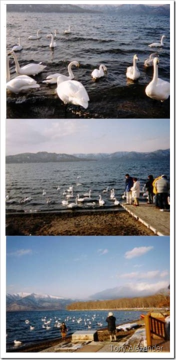 lake kusha