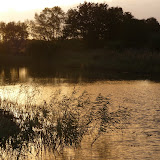 © Sarah Pitt: Somerset Levels. From November 2009 Course. &ndash; 25-Oct-2009