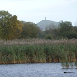 © Sarah Pitt: Glastonbury Tor from Somerset Levels. From November 2009 Course &ndash; 25-Oct-2009