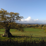 © Sarah Pitt: Folly Farm View &ndash; 07-Nov-2009