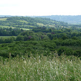 © Sarah Pitt: View from Folly Farm over the Reserve &ndash; 15-Jun-2010