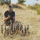 © Robin Smith: Cameraman, Robin Smith, Filming Meerkats