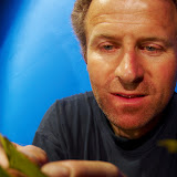 © Robert Hollingworth: Cameraman, Tim Shepherd, in the Wistmans Wood set in his studio in Devon preparing opening sequence to Programme 6, Plants, for the BBC NHU series, Life. &ndash; 24-Jul-2008