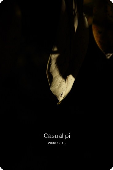 DPP_0017