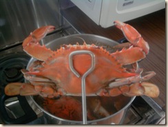 Crab Master