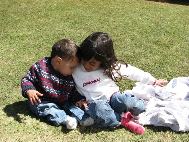 [IMG_80432.jpg]