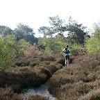 Schoorl