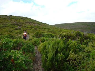 Corsica coast race