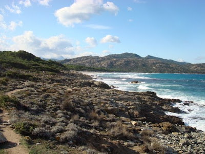Corsica coast race