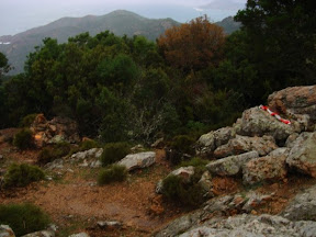 Corsica coast race