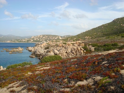 Corsica coast race