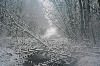 neige sur Delft