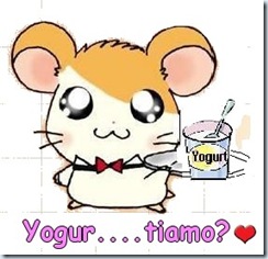 yogut...tiamo