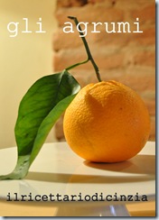 gli agrumi gli agrumi